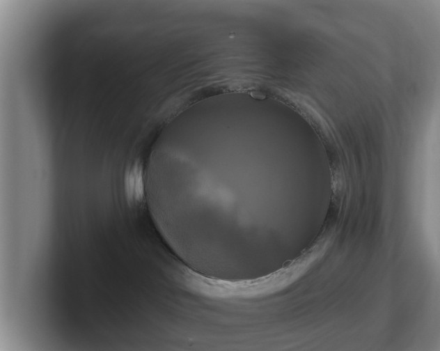 X0000102410046200808081333