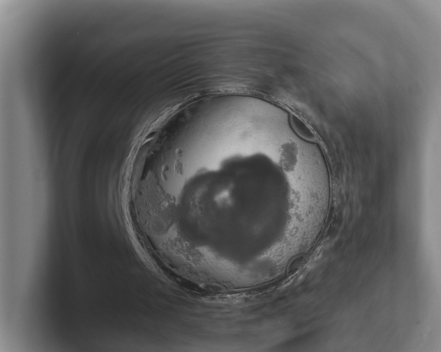 X0000102410049200808081332