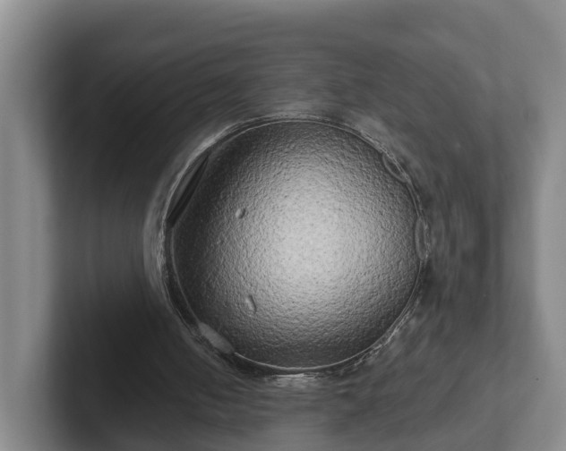 X0000102410050200808081332