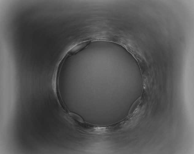 X0000102410052200808081332