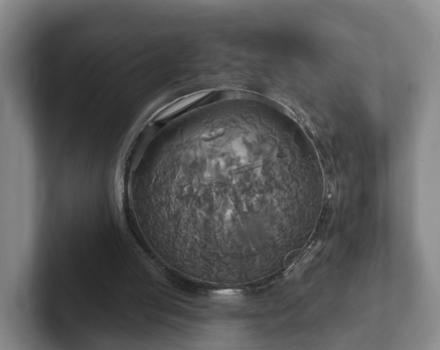 X0000102410053200808081332