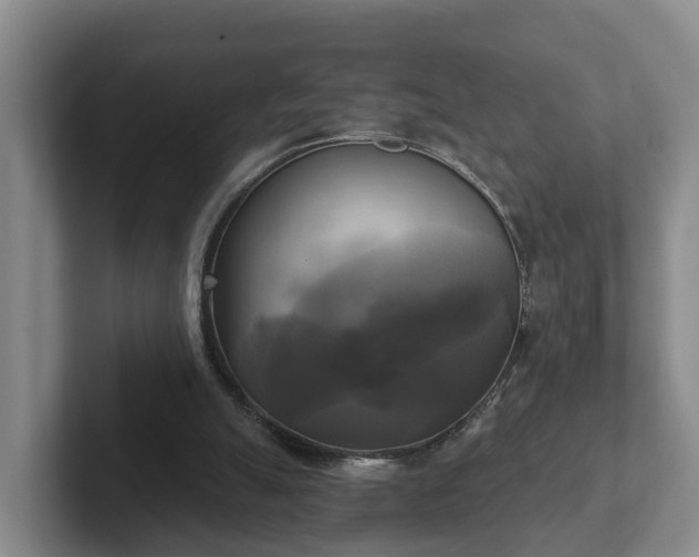 X0000102410055200808081332