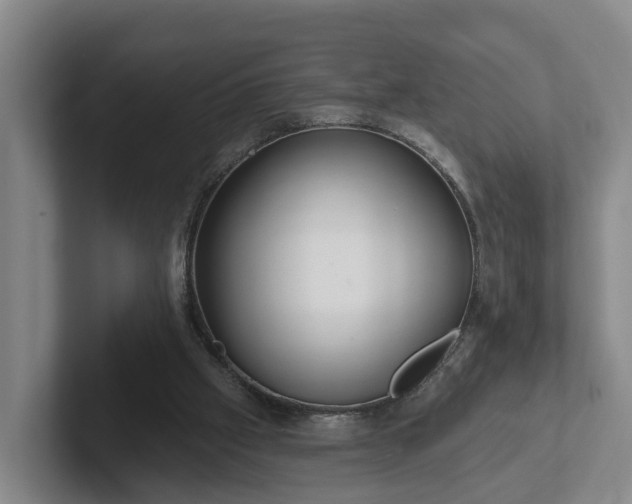 X0000102410057200808081333