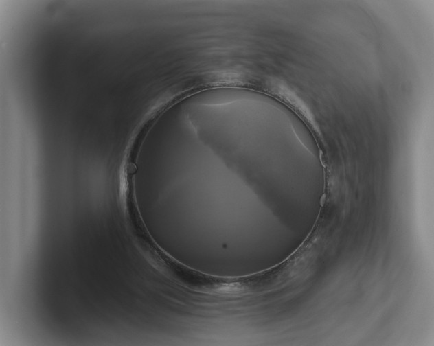 X0000102410059200808081333