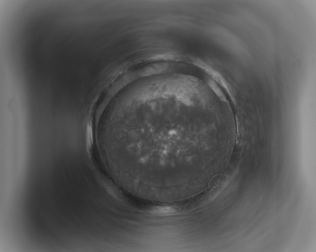 X0000102410061200808081333