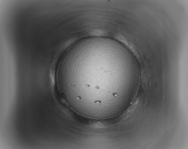 X0000102410062200808081333