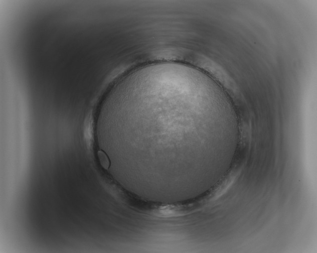 X0000102410064200808081333