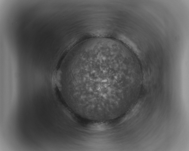 X0000102410065200808081333