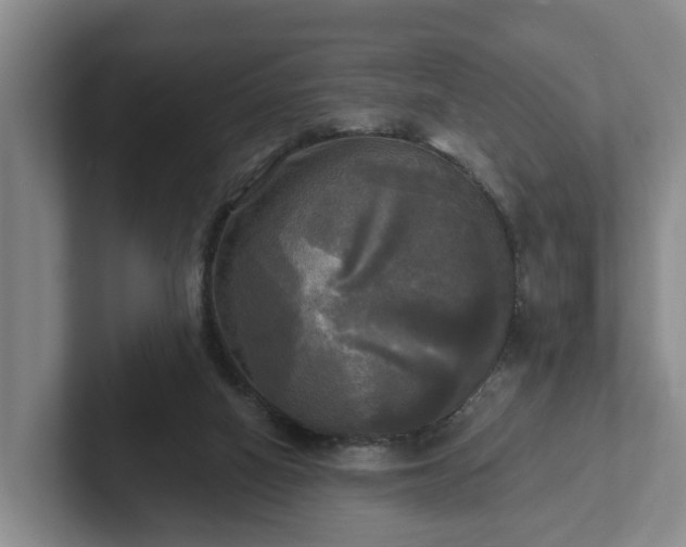 X0000102410066200808081333