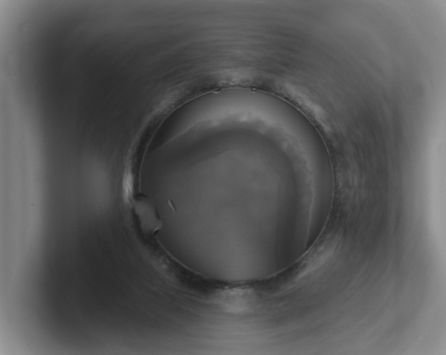 X0000102410067200808081333