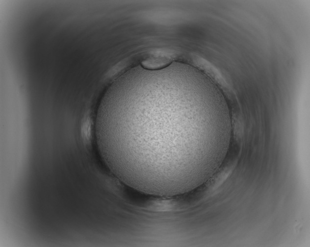 X0000102410071200808081333