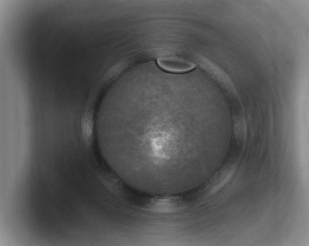 X0000102410072200808081333