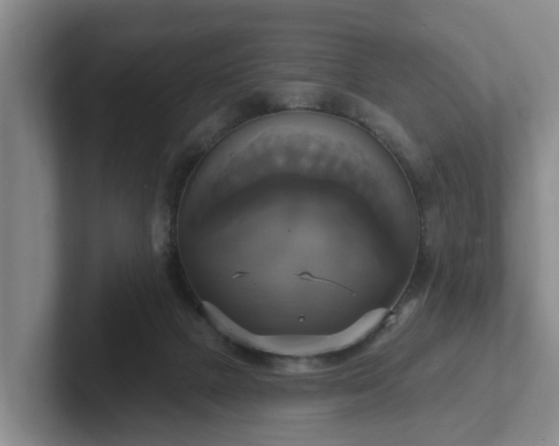 X0000102410073200808081333