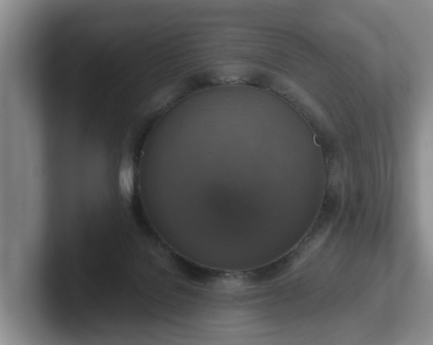 X0000102410076200808081333