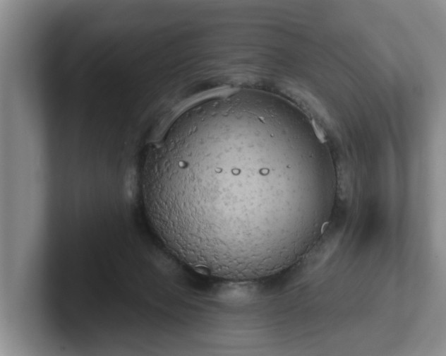 X0000102410077200808081333