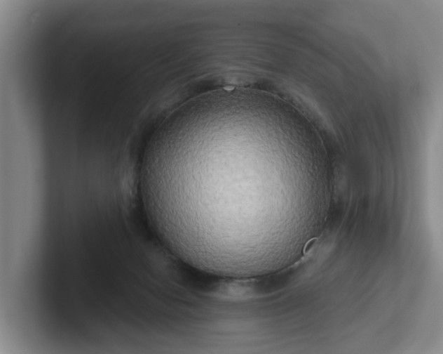 X0000102410078200808081333