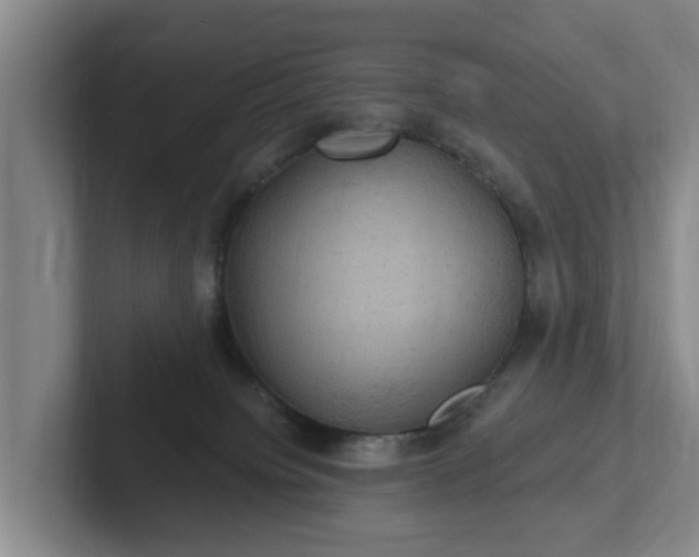 X0000102410084200808081333