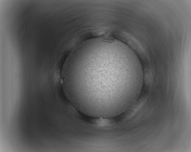 X0000102410085200808081333