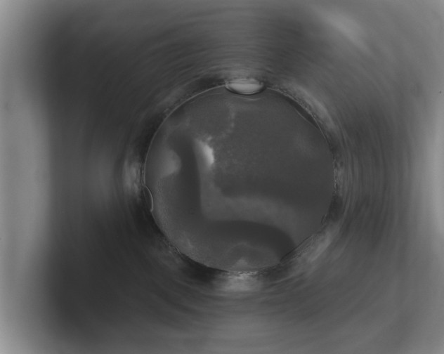 X0000102410093200808081333