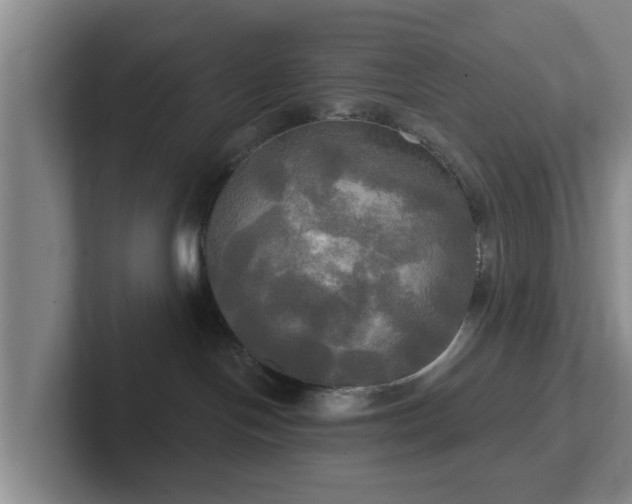 X0000102410094200808081333