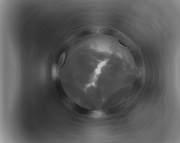 X0000102410095200808081333