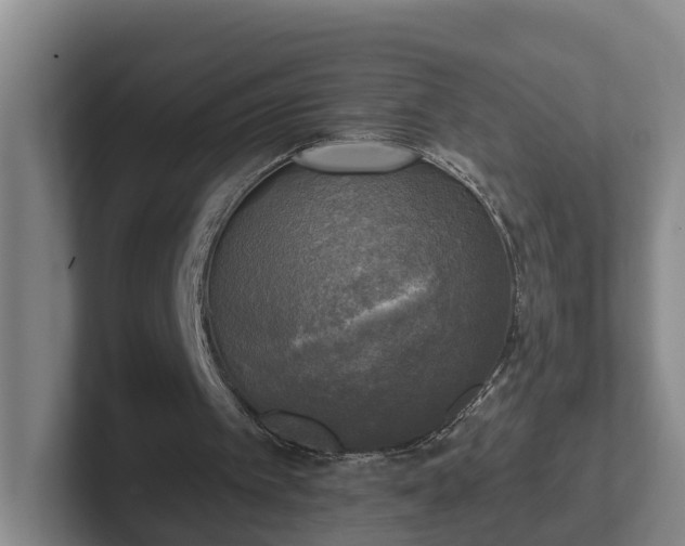 X0000102410097200808081332