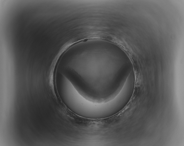 X0000102410099200808081332