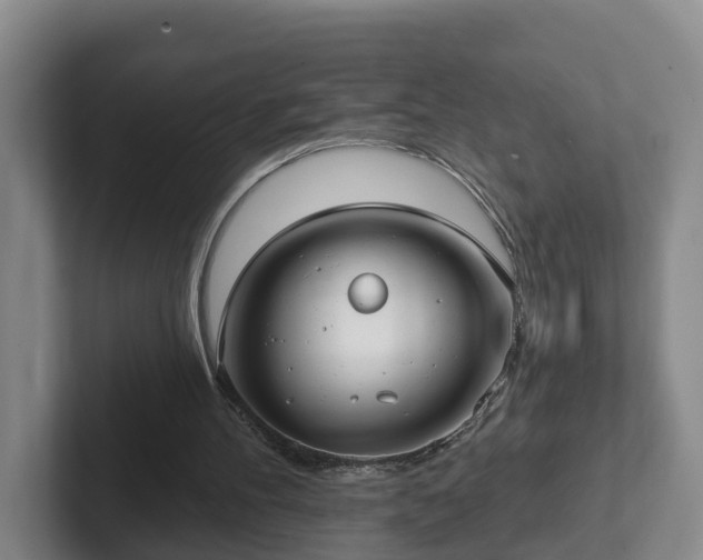 X0000102410100200808081332