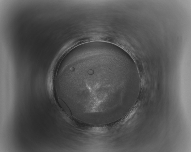 X0000102410101200808081332