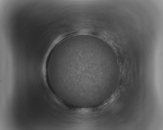 X0000102410102200808081332