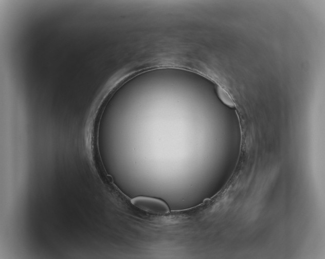 X0000102410103200808081332