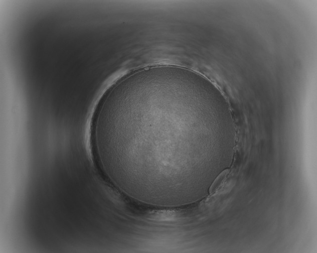 X0000102410104200808081332