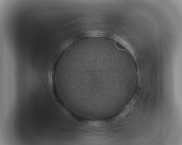 X0000102410105200808081332