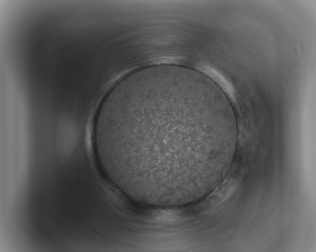 X0000102410107200808081332