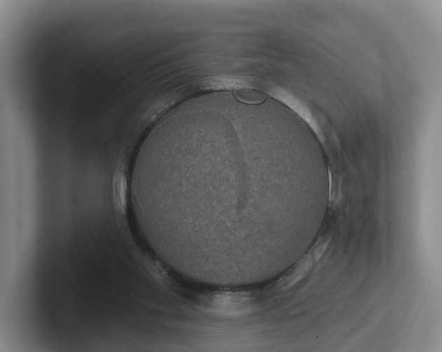 X0000102410109200808081332