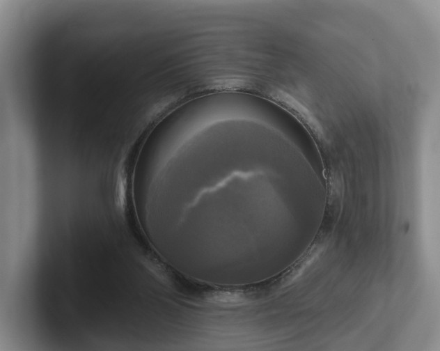 X0000102410110200808081332