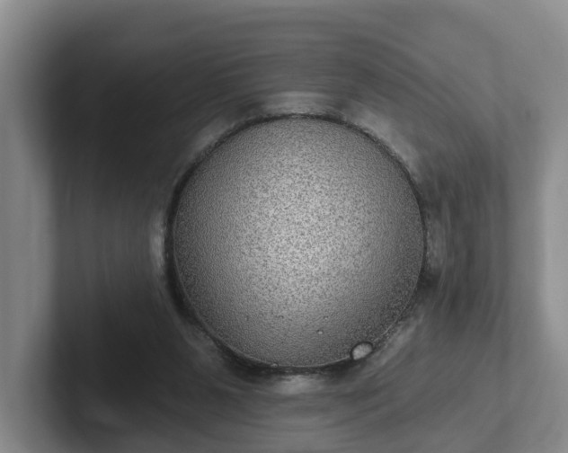 X0000102410111200808081332