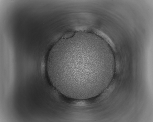 X0000102410113200808081332