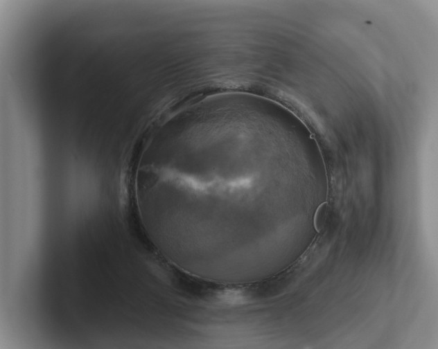 X0000102410114200808081332