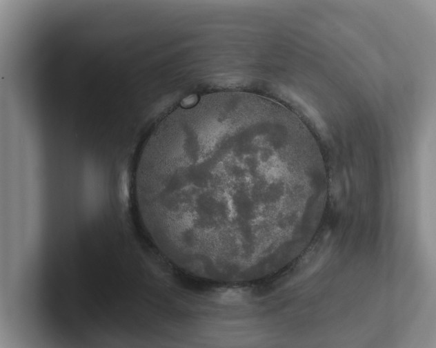 X0000102410115200808081332