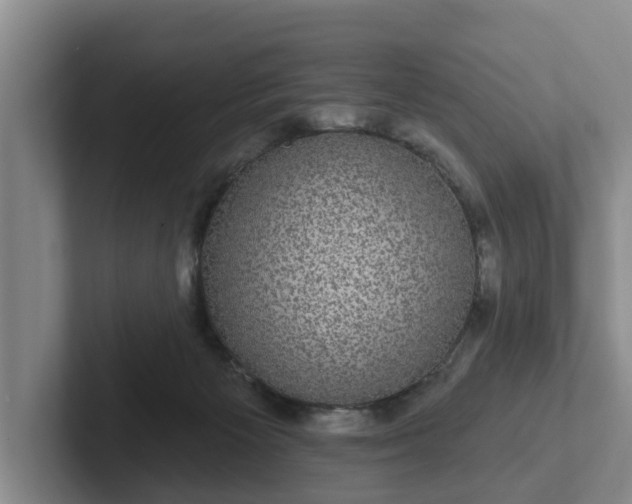 X0000102410125200808081332