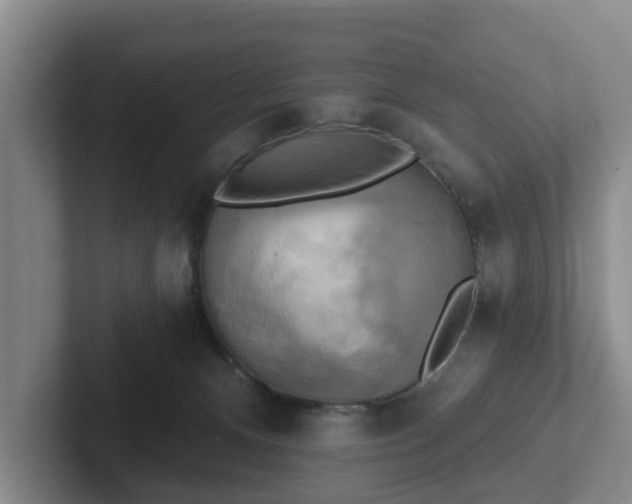 X0000102410128200808081332