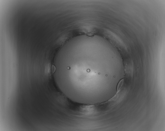 X0000102410132200808081332