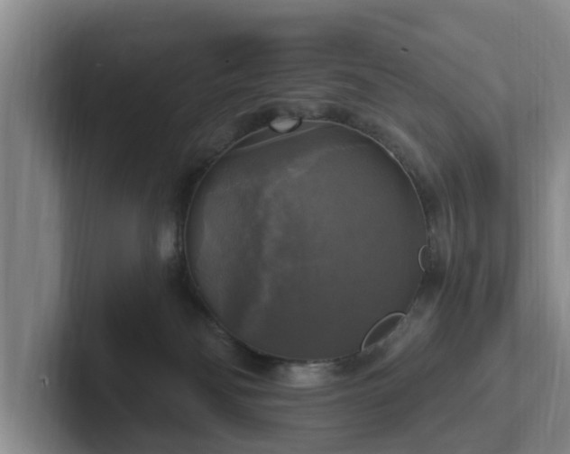 X0000102410134200808081332