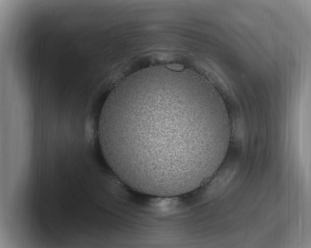 X0000102410135200808081332