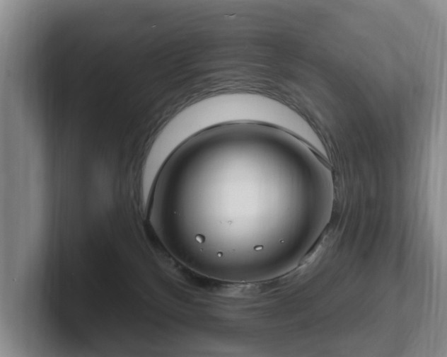 X0000102410136200808081332