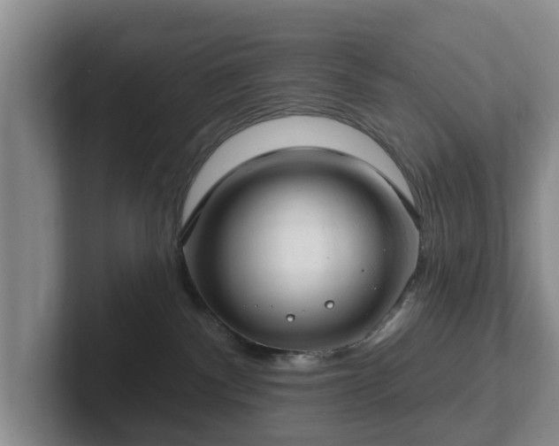 X0000102410140200808081332