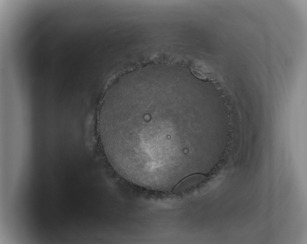 X0000102410144200808081332