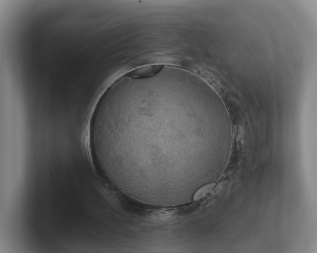 X0000102410148200808081331