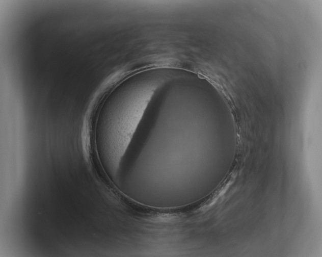 X0000102410149200808081331